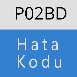 P02BD hatasi