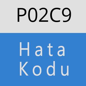 P02C9 hatasi