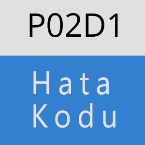 P02D1 hatasi