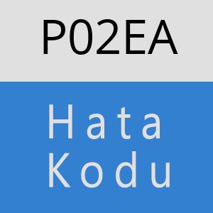 P02EA hatasi