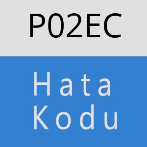 P02EC hatasi