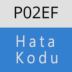 P02EF hatasi