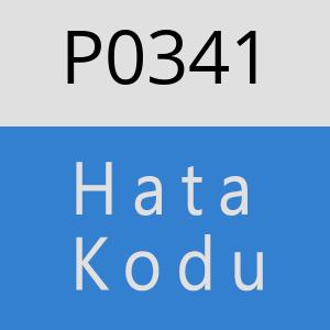 P0341 hatasi