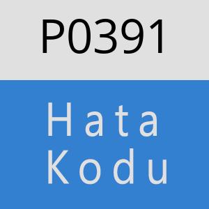 P0391 hatasi