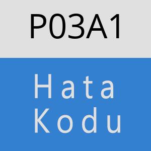 P03A1 hatasi