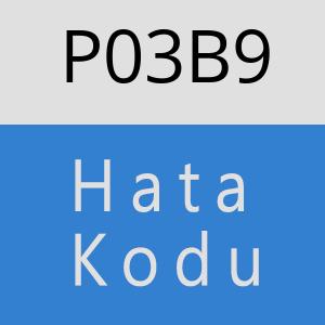 P03B9 hatasi