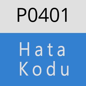 P0401 hatasi