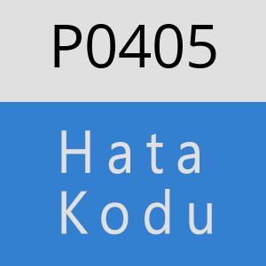 P0405 hatasi