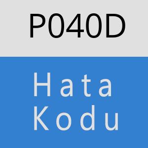 P040D hatasi