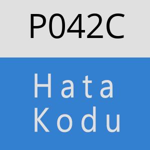 P042C hatasi