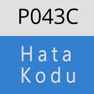 P043C hatasi