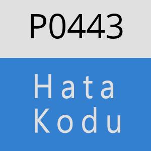 P0443 hatasi