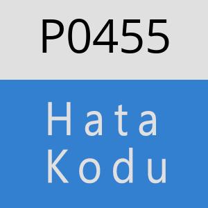 P0455 hatasi