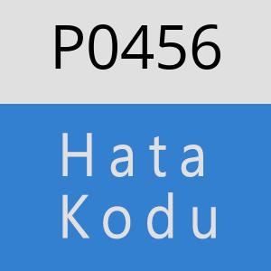 P0456 hatasi