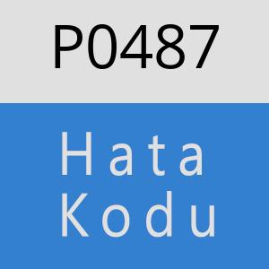 P0487 hatasi