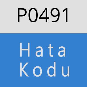 P0491 hatasi