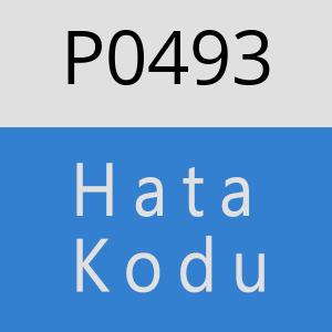 P0493 hatasi