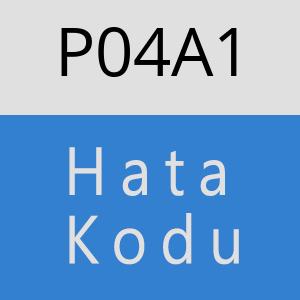 P04A1 hatasi