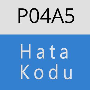 P04A5 hatasi