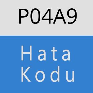 P04A9 hatasi