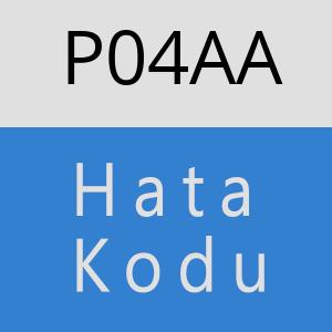 P04AA hatasi