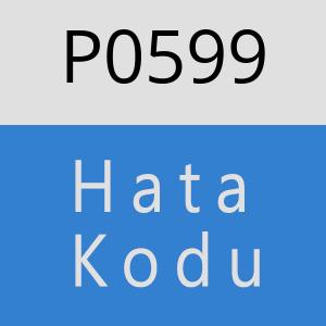 P0599 hatasi