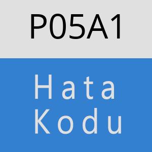 P05A1 hatasi