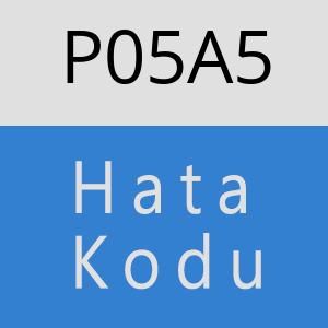 P05A5 hatasi