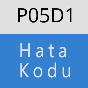 P05D1 hatasi