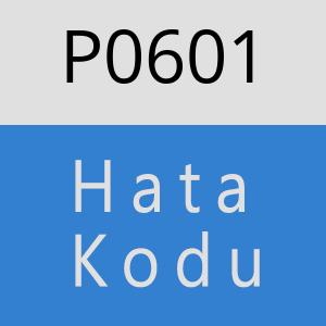 P0601 hatasi