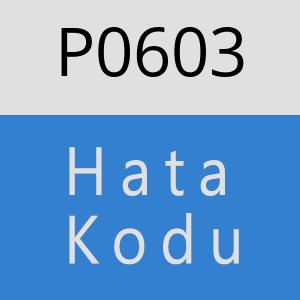 P0603 hatasi