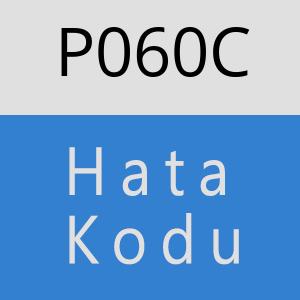 P060C hatasi