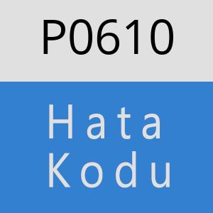 P0610 hatasi