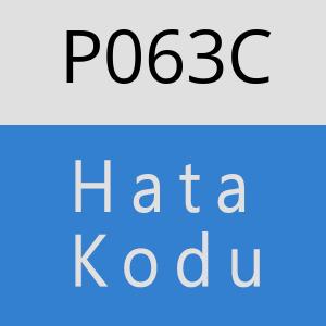 P063C hatasi