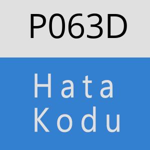 P063D hatasi