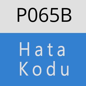 P065B hatasi