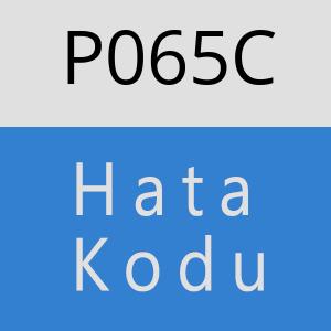 P065C hatasi