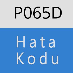 P065D hatasi