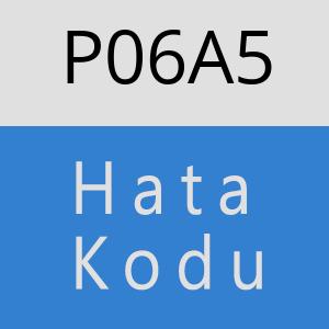 P06A5 hatasi