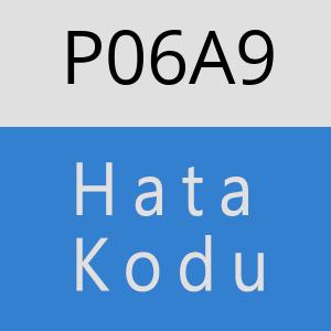 P06A9 hatasi