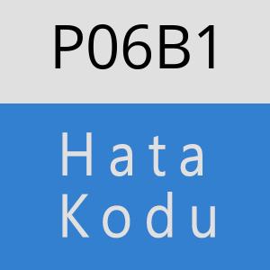 P06B1 hatasi