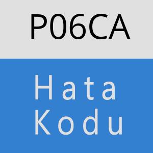 P06CA hatasi