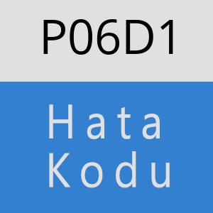 P06D1 hatasi