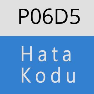 P06D5 hatasi