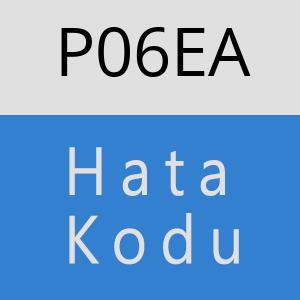 P06EA hatasi