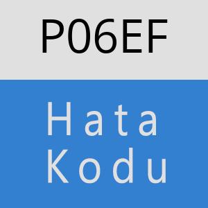 P06EF hatasi