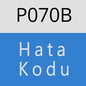 P070B hatasi