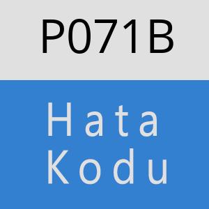 P071B hatasi