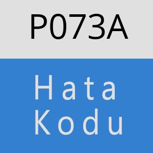 P073A hatasi