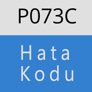 P073C hatasi